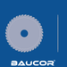 Circular Saw Blade Profile