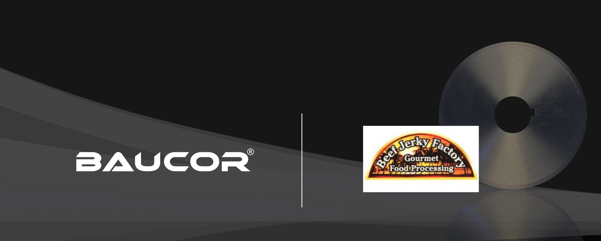 Beef Jerky factory food processing blades
