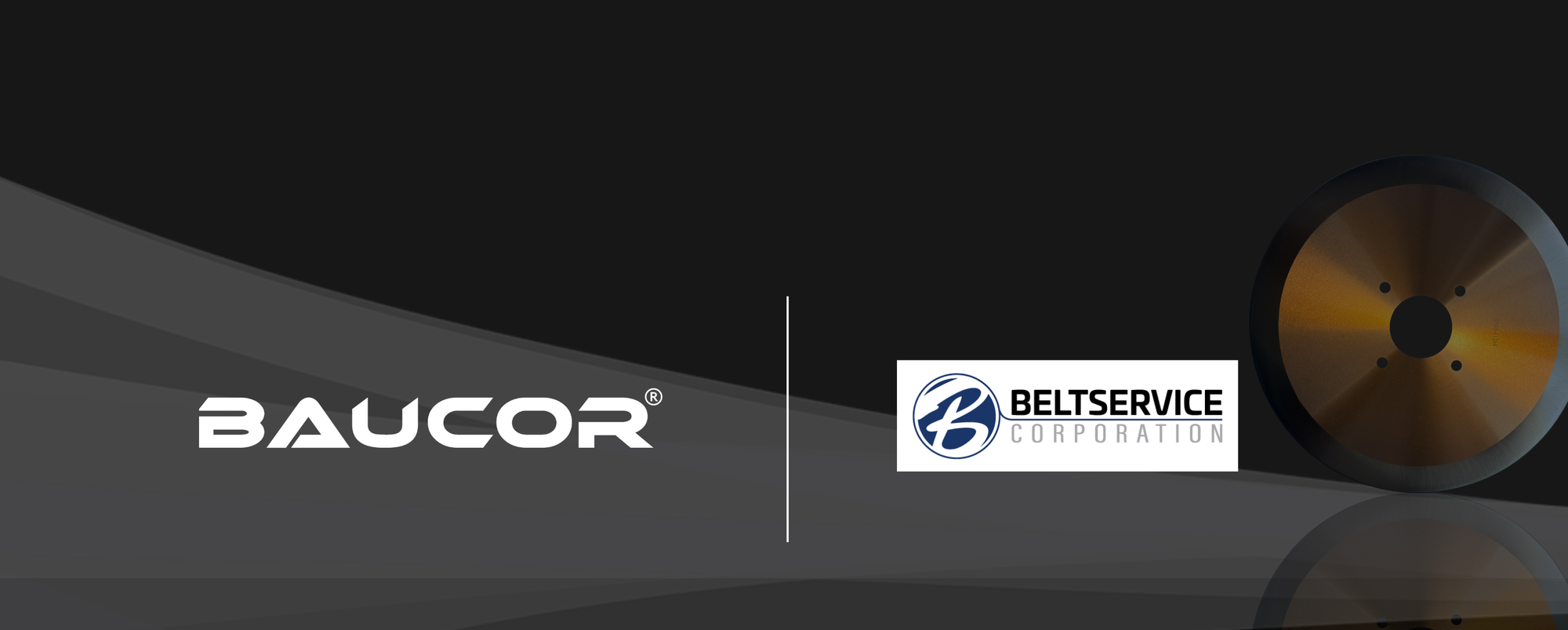 Belt Service industrial blades