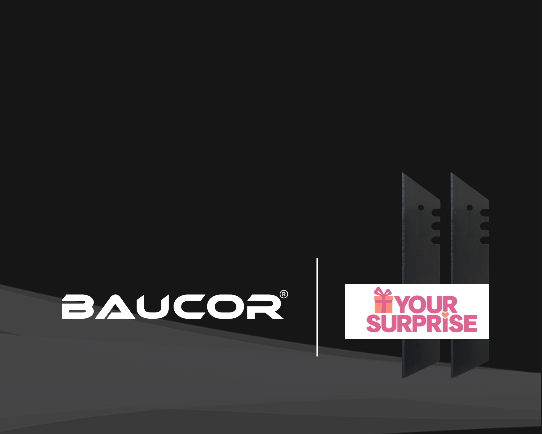 baucor
